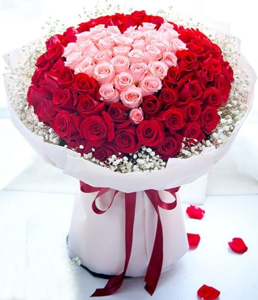 WhatsApp Image 2025-10-08 at 11.02.04_38fd633c